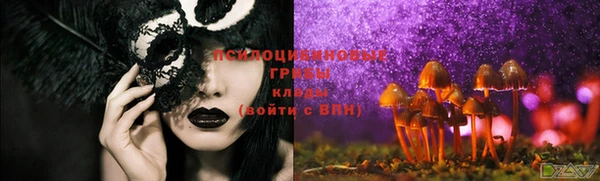 сатива Мегион