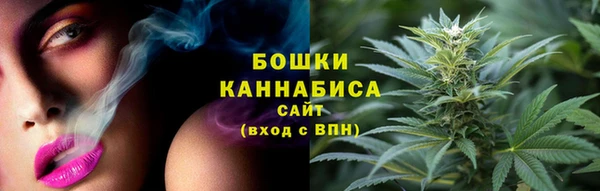 дмт Медногорск