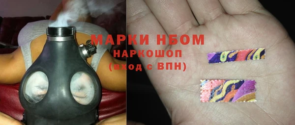 сатива Мегион