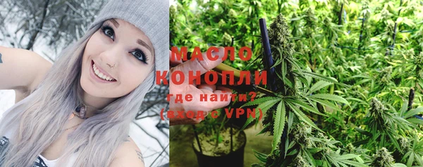 дмт Медногорск