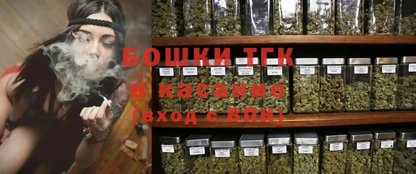 сатива Мегион