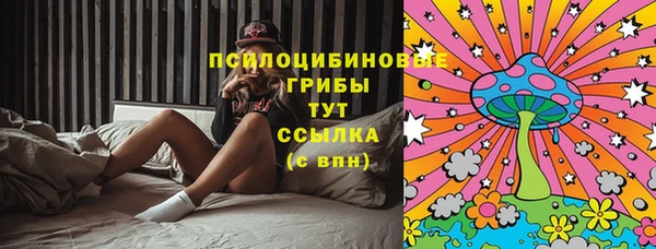 скорость Медвежьегорск