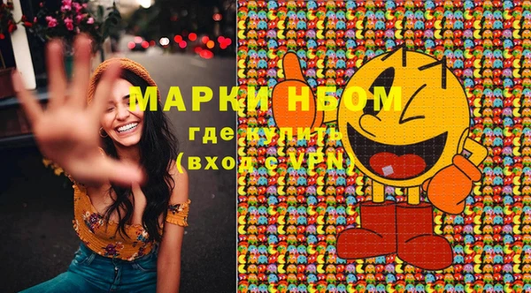 сатива Мегион