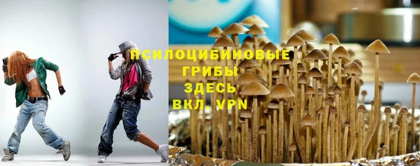 дмт Медногорск