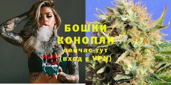 крисы Алагир
