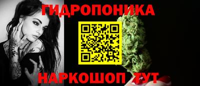 эйфоретик Гусь-Хрустальный