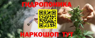 эйфоретик Гусь-Хрустальный