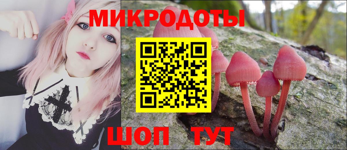 Галлюциногенные грибы Psilocybe Кудрово