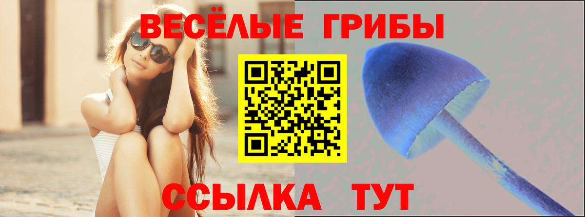 Кудрово  Галлюциногенные грибы прущие грибы  Галлюциногенные грибы мухоморы  Вход с VPN 